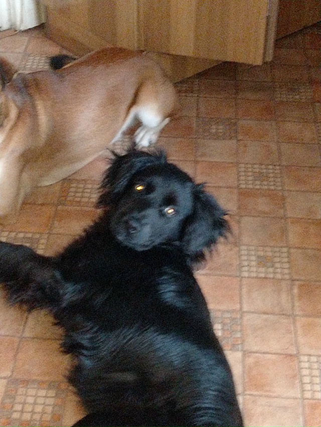 Здравствуйте уважаемые жители города Остров! Продолжа...