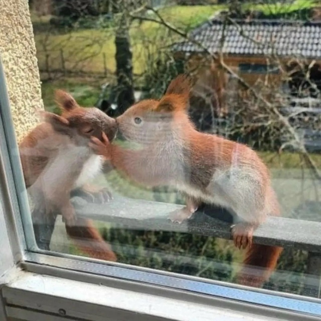 Сегодня я стал свидетелем романтичной сцены.