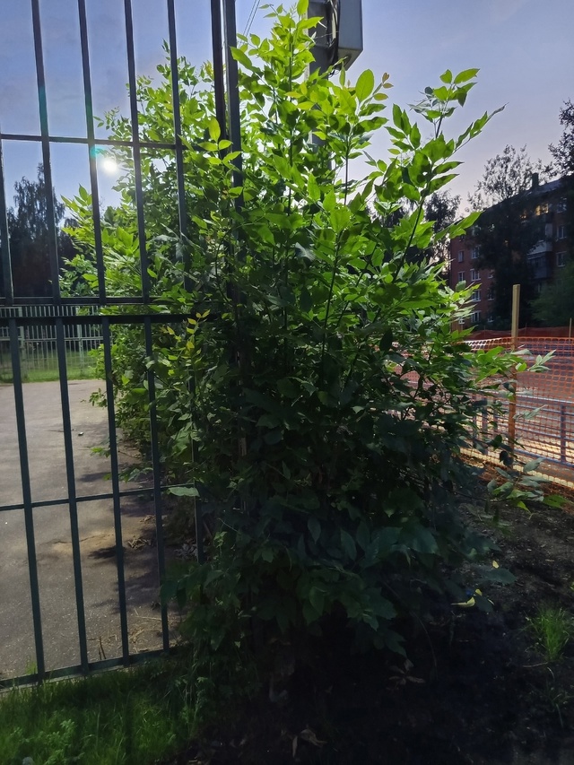 Здравствуйте всем .
Хотела бы написать пост по поводу п...