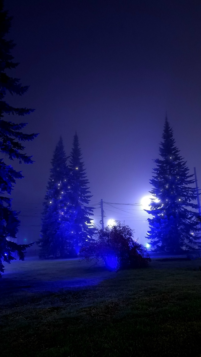 Пока город спит.