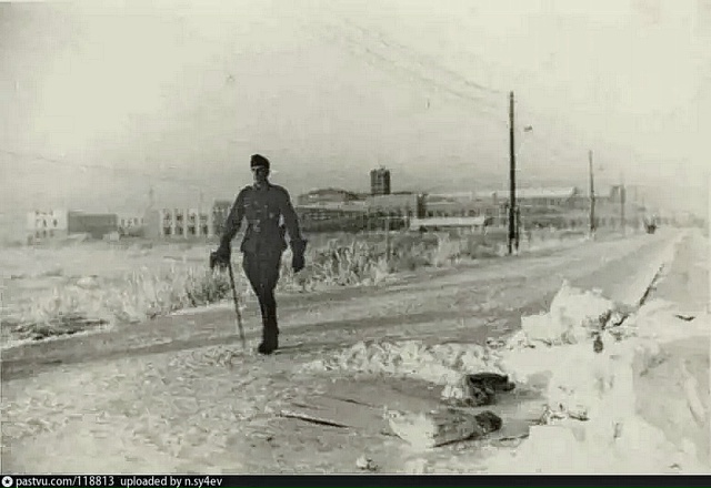 ЛЭМЗ
#фото #какбылораньше #петергоф