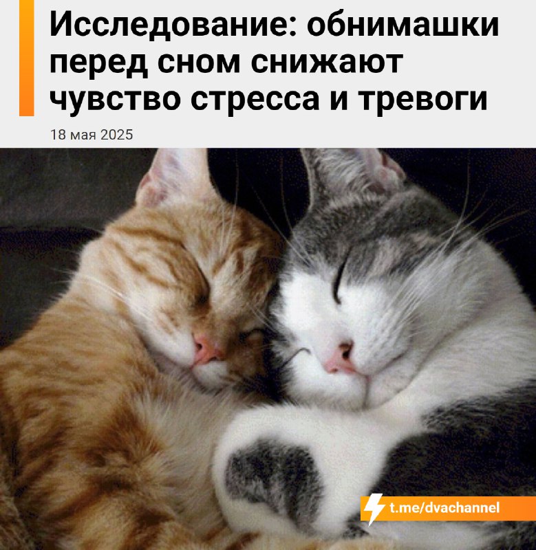 Объятия перед сном помогают меньше нервничать и тревожиться, выяснили учёные
Исследование показало,