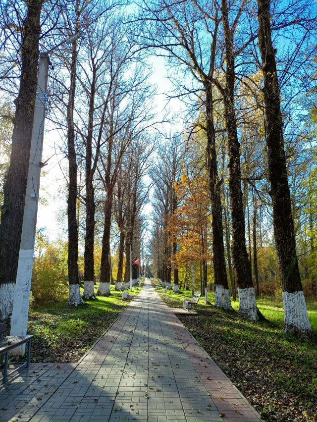 Золотая осень в парке ОЦБК в объективе [id139179875|Аля Емел?...