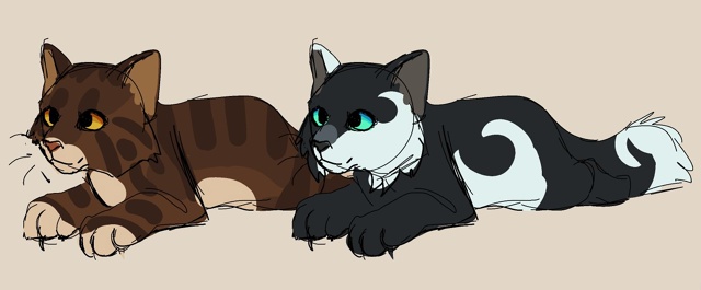 Команде Warrior Cats стоило бы выпускать наборы мерча вмест?...