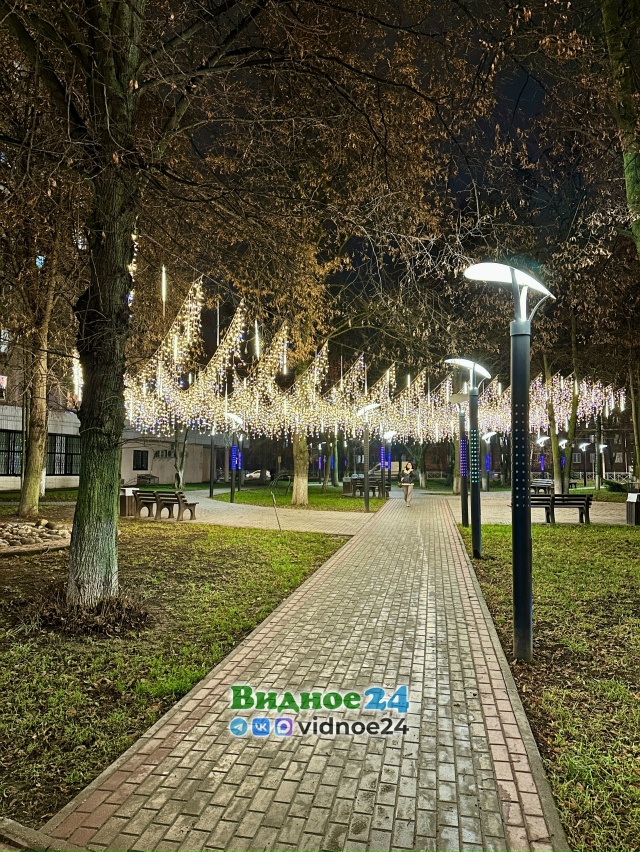 Новогодний сквер 50-летия города Видное 
Фото: [club26550049|?...