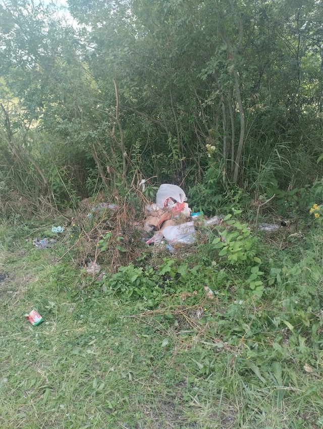 Пожалуйста анонимно . Продолжение недавнего поста про ...