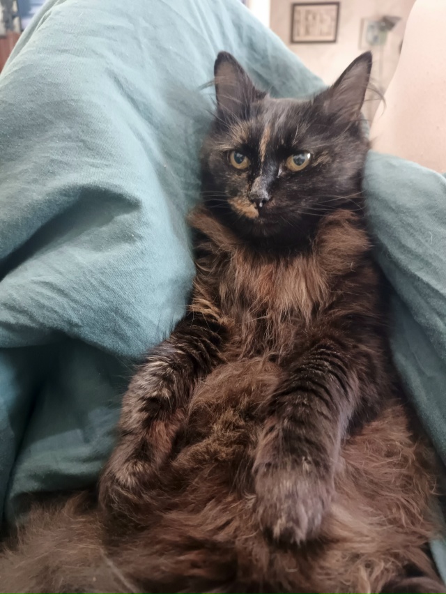 Отстань, кожаный, положи обратно