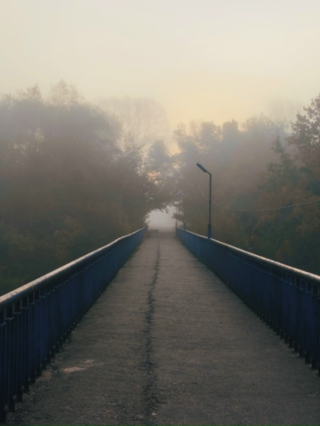 Октябрь. Утро. Луга 🍁