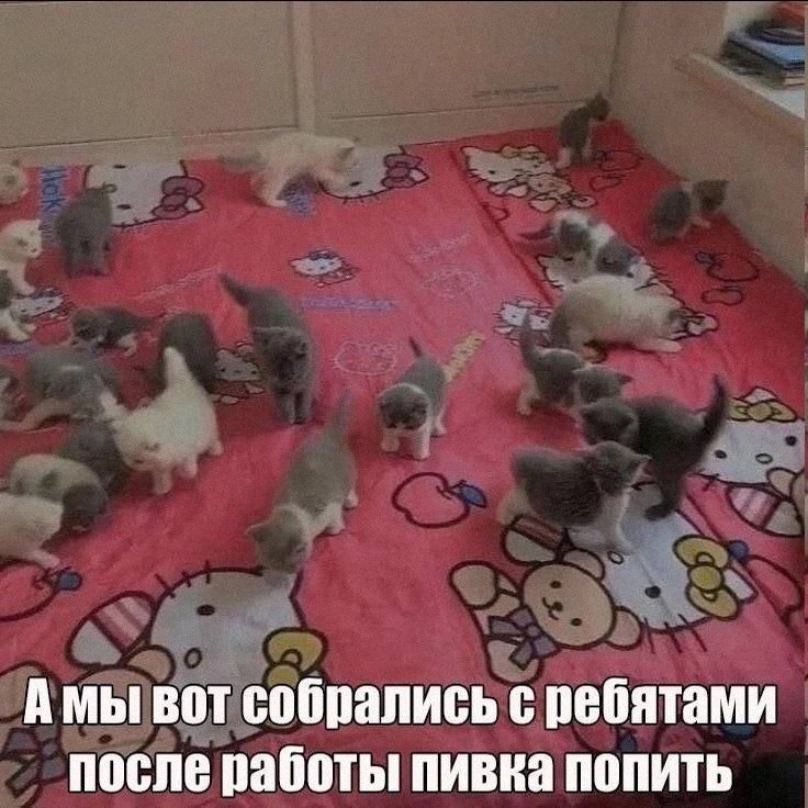 Утренняя подборочка
