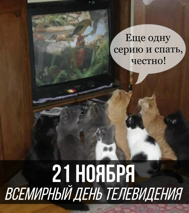 21 ноября – всемирный день телевидения