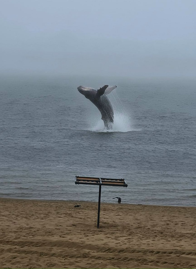 За секунду до…
Самарцы делятся кадрами мистической В...