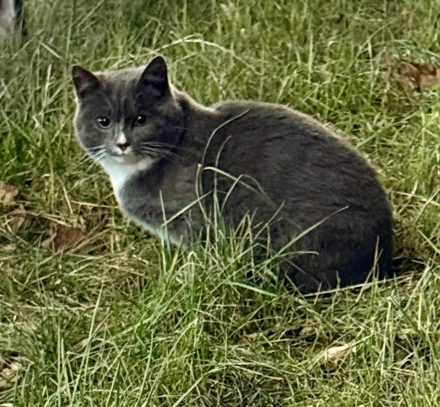 В районе железнодорожного вокзала Пермь II обнаружен и ...