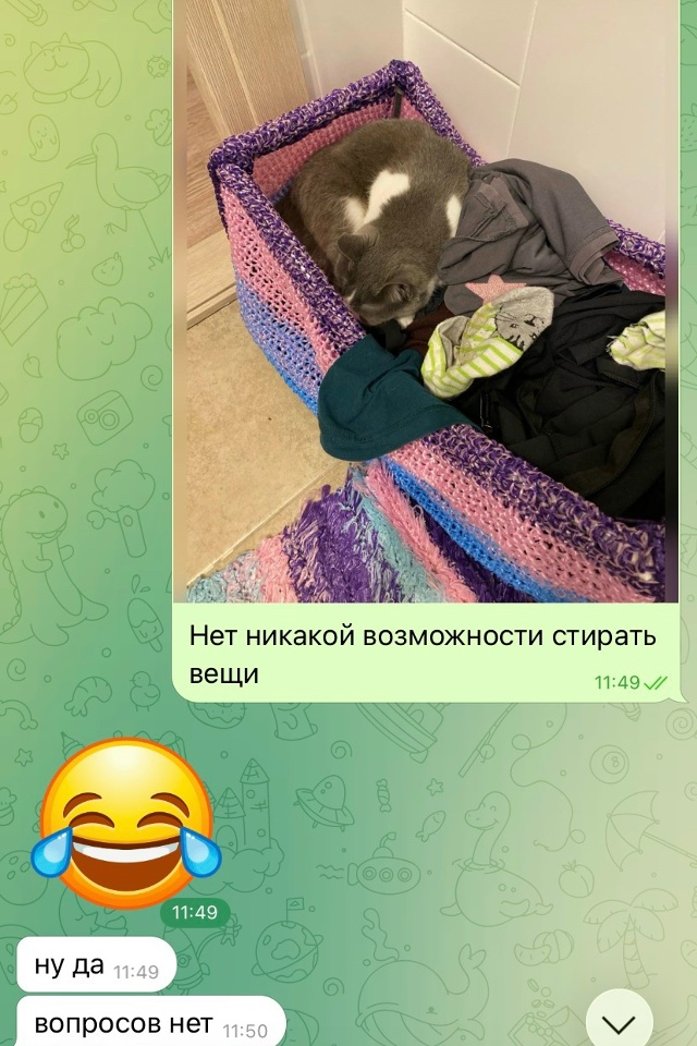 Мурёночка полюбила спать в корзине для белья. А так же ?...