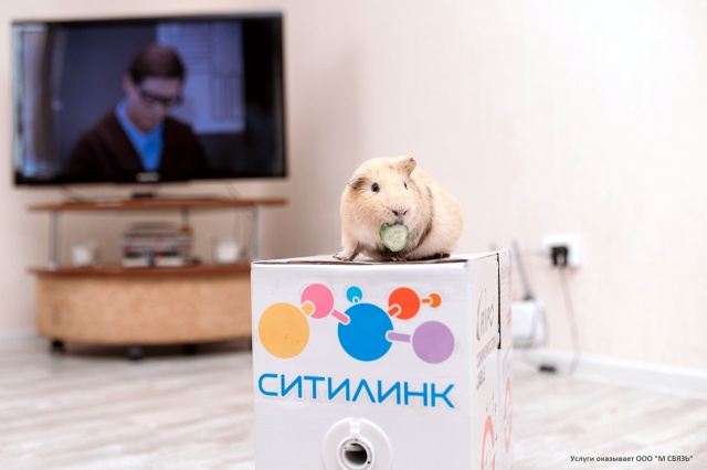 Что такое 169 рублей? Это меньше, чем стоит билет в кино.
...