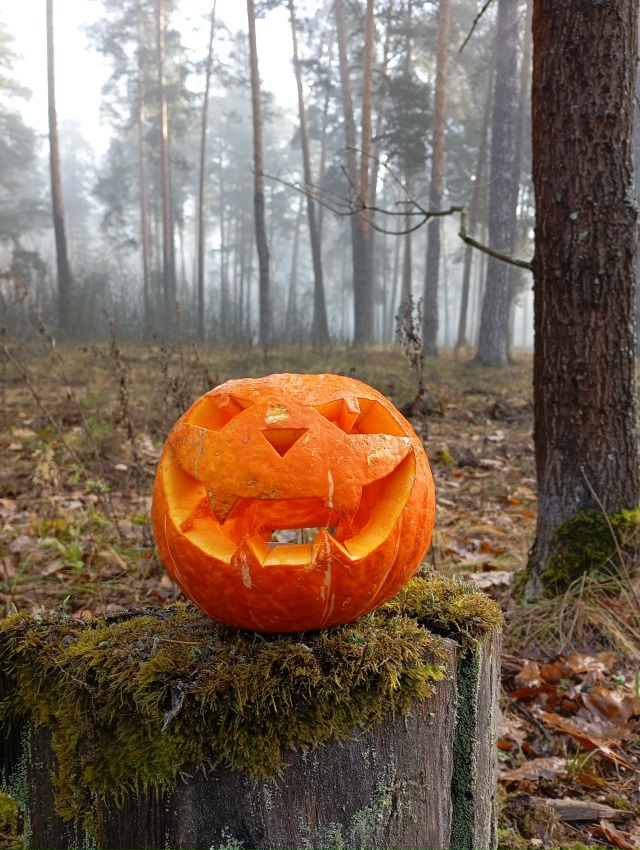 Новый строящийся парк 