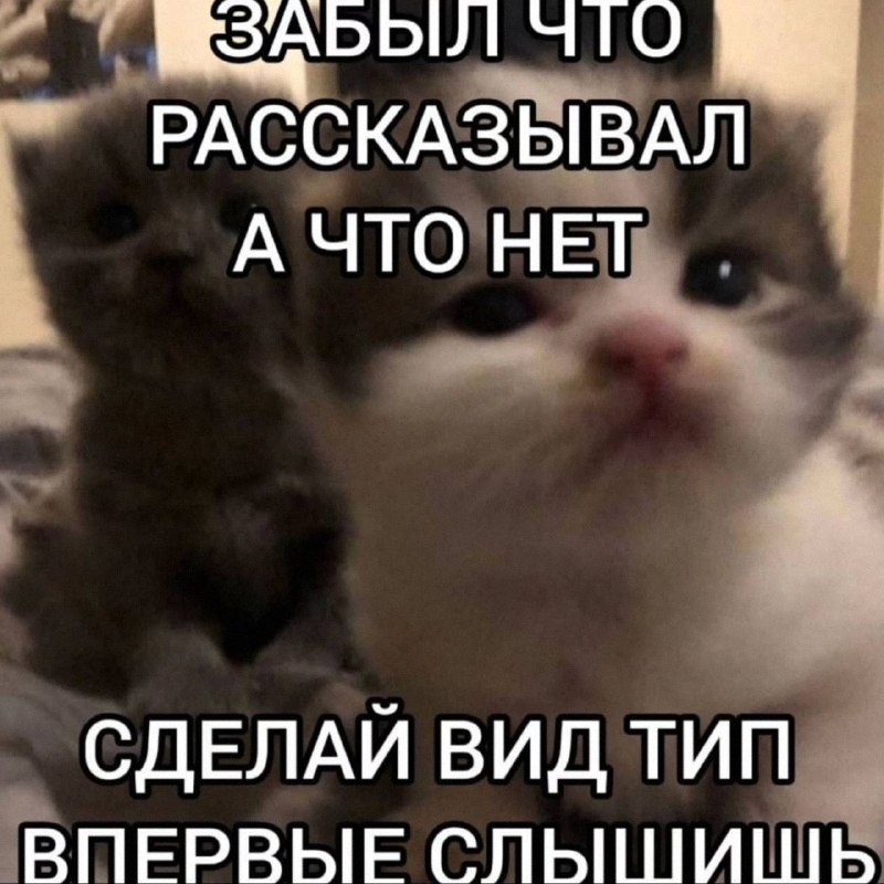 Утренняя подборочка