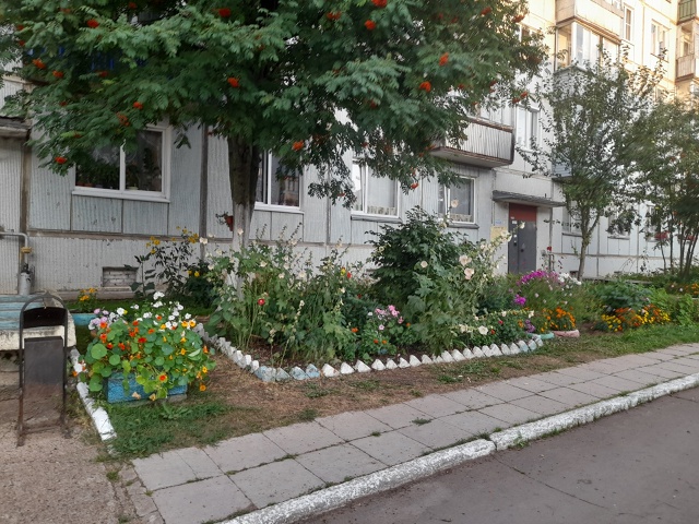 Прекрасный вечерний вид для глаз!!!⚘️🌼🌸🌷
