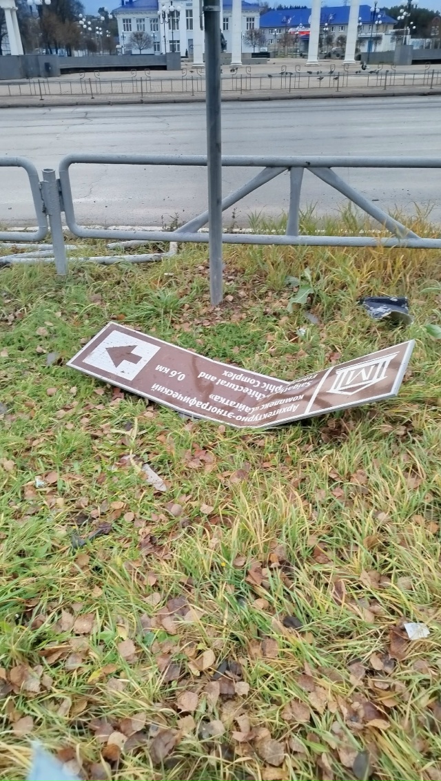 Ночные гонки? 😲