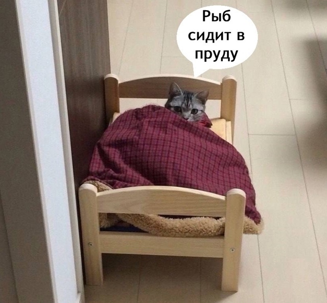 Просто я каждые выходные