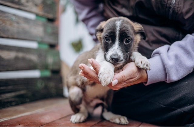 Здравствуйте! Разместите пожалуйста пост 🙏
Очень ище?...