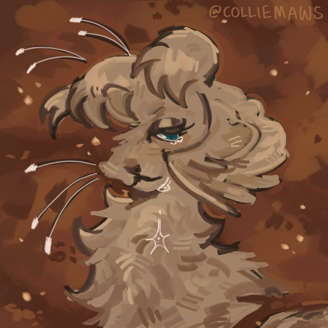 Завиток
© colliemaws
#KV_ZZ_ART