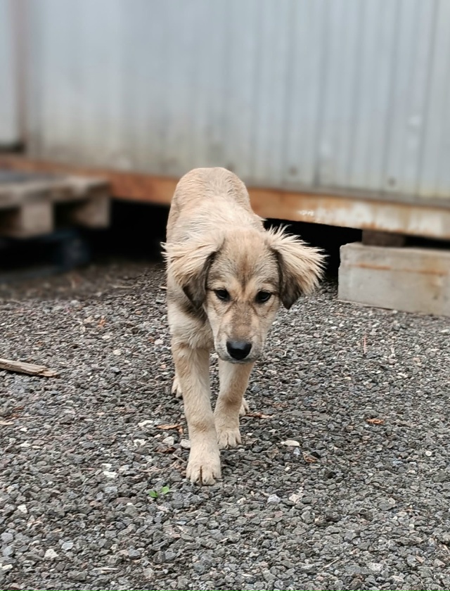 Москва, Тушино.
Срочно нужен дом!?
Хотя бы временный.
...