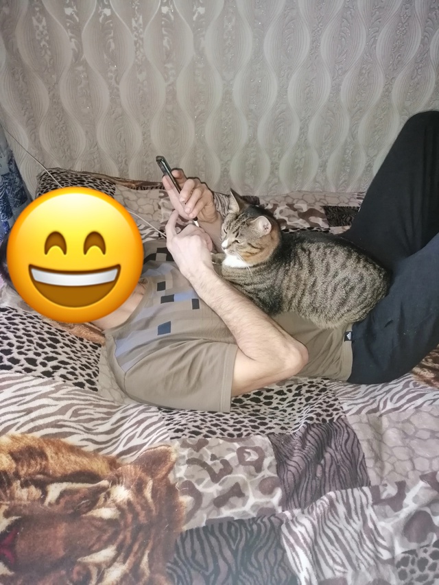 Пропал кот. Может кто видел откликнитесь пожалуйста. Н?...