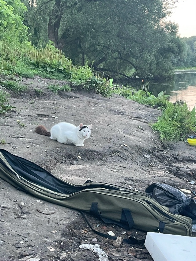 Опытный рыбак 🎣🎣🎣