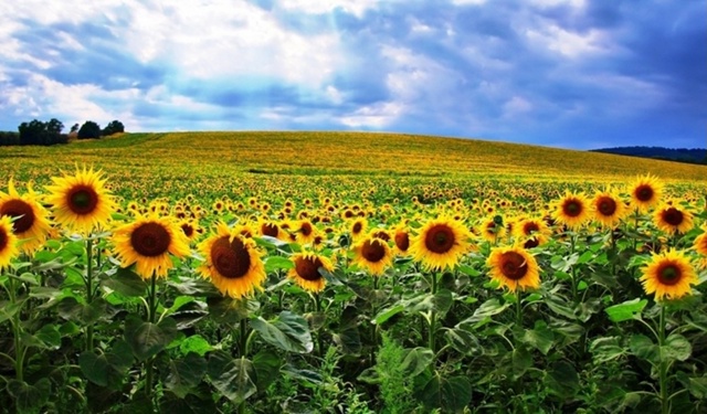 Всем доброго вечера!
Вечером все дневные дела законче?...