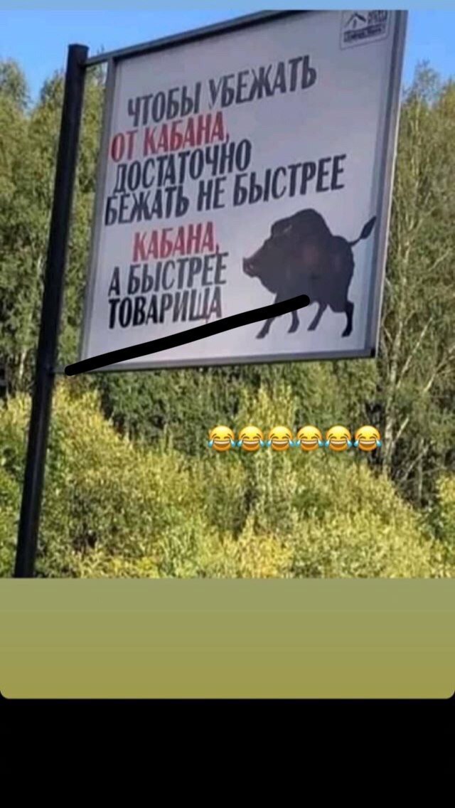 Подписывайтесь! У нас тут не только юмор и мемы, но и на?...