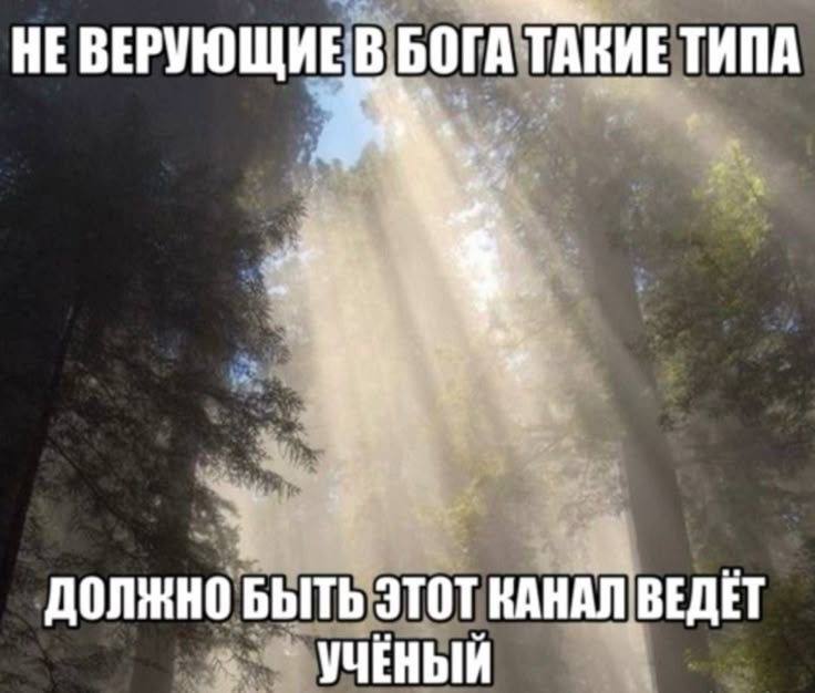 😎Предпоследняя мемббота в этом году, друзья
Вы знаете, что нужно делать (не забывайте лайкать лучш