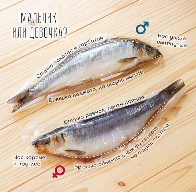 Для меня это действительно шок. А вы были в курсе?