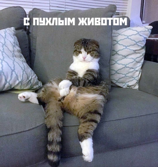 😂😂😂