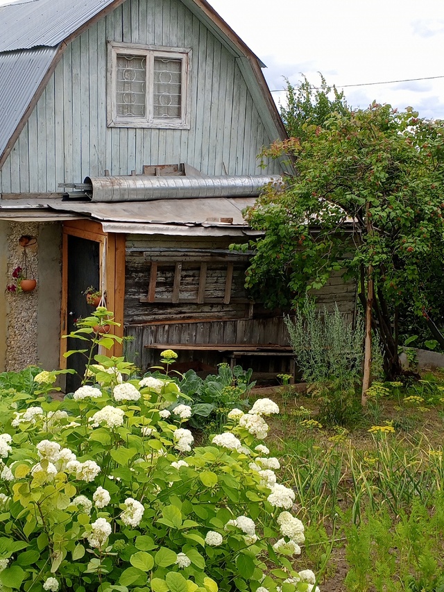 Холодает на улице. А чтобы не замёрзнуть, в трудах и заб...