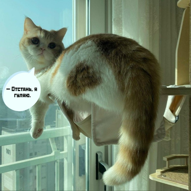 - Вась, Васяяяя
- Ты уже 15 минут тупо смотришь в окно.