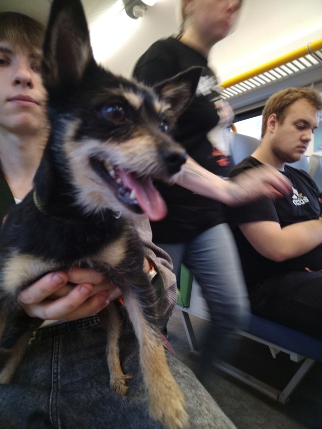 Электричка 6743
Крутое - лесной городок
В 2 часа дня на ос...