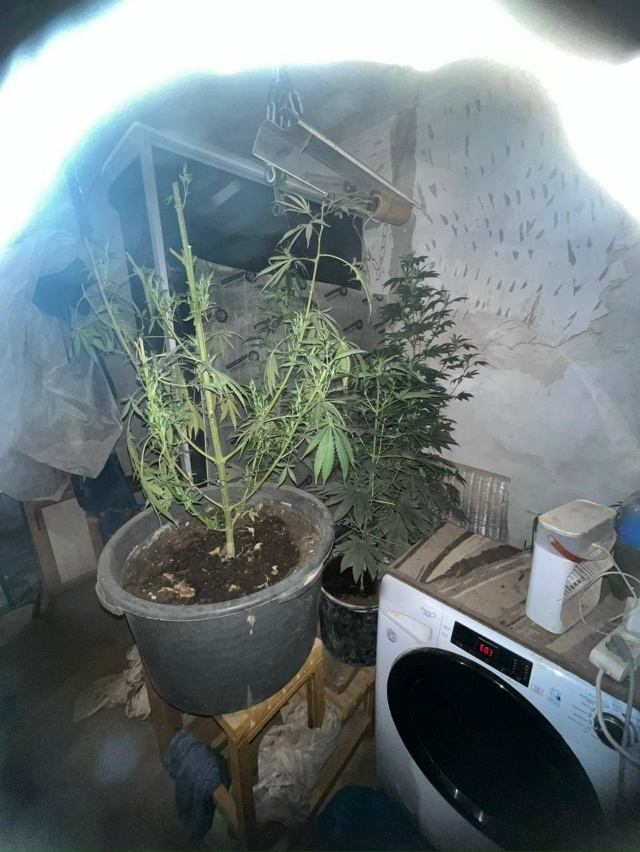 🪴Ссора с бывшей привела к уголовному делу. Совпадение...