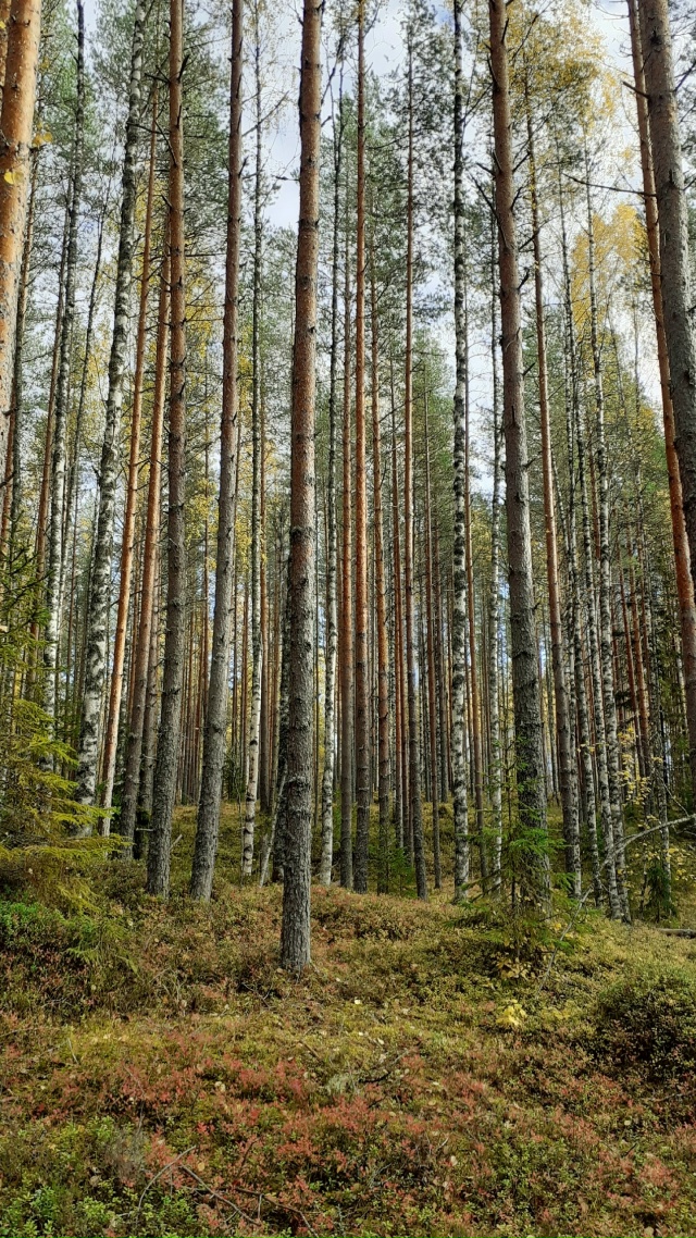 Доброго утра, Никольск❤