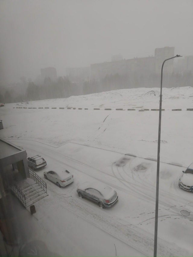 ❄ Снежный покров может появиться в Перми и крае уже на ...