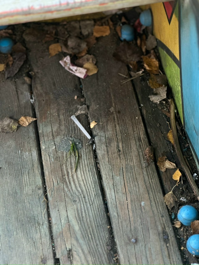 Красота в глазах смотрящего [id151565008|Армен Шахбабян] и В?...