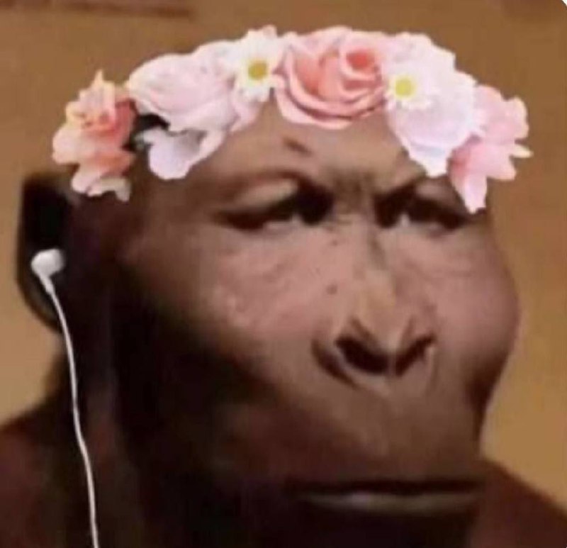 девушка в общественном транспорте делает селфи с фильтрами
я, сидящий позади неё: