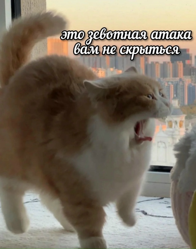 С добрым утром четверга
Ещё немного и конец. Конец этой...