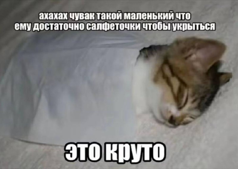 Утренняя подборочка