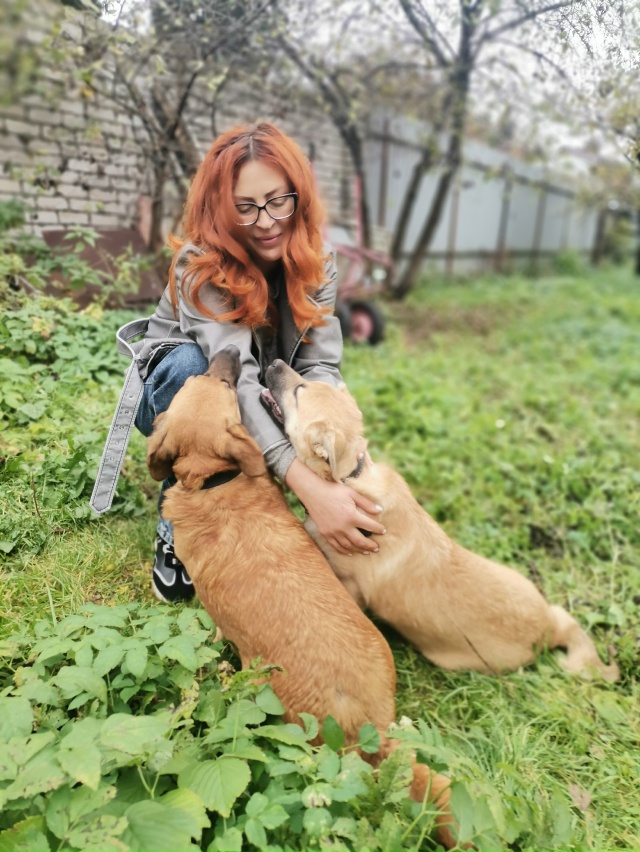 В поиске дома две очаровательные красотки-Дина и Джерр...