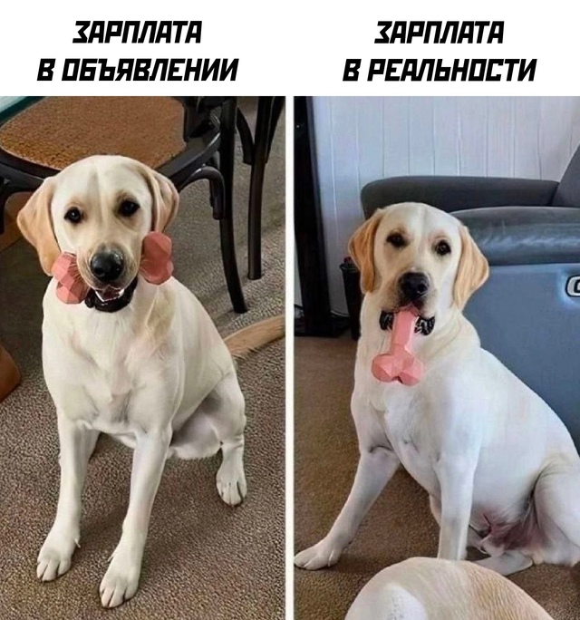 бывает и такое
