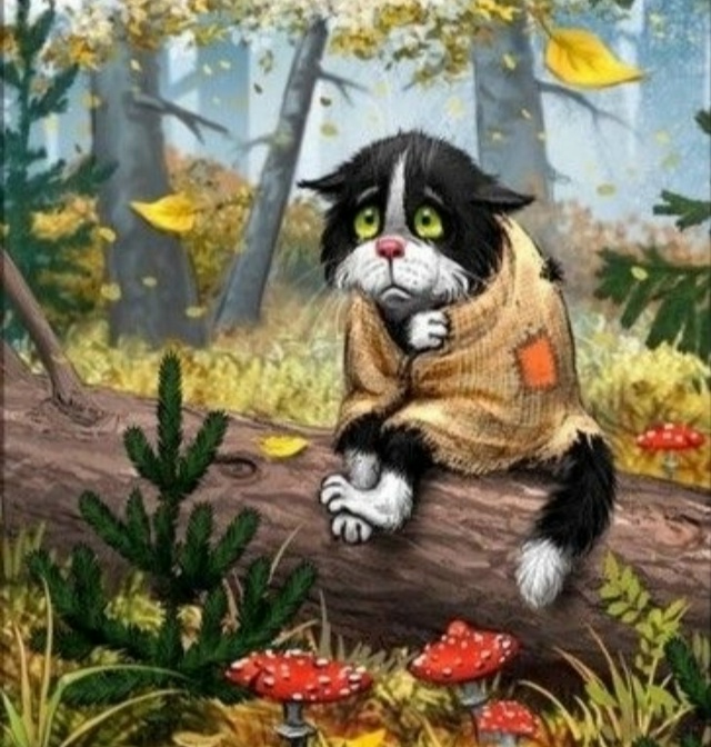 Маленькие бездомные комочки ищут добрые руки! котятам ...