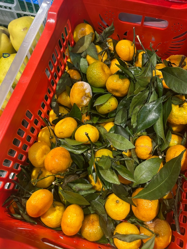 Наисвежайшие фрукты в магазине Атак
Не первый раз наб?...