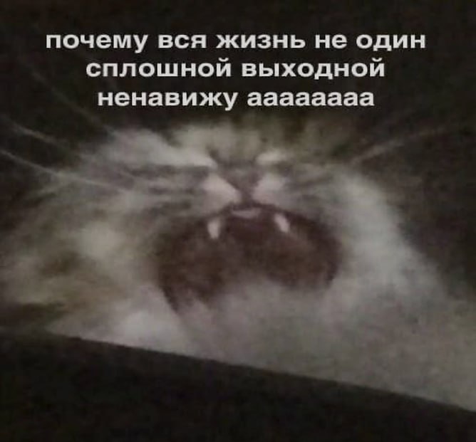 Ночная подборочка
Спать, режим