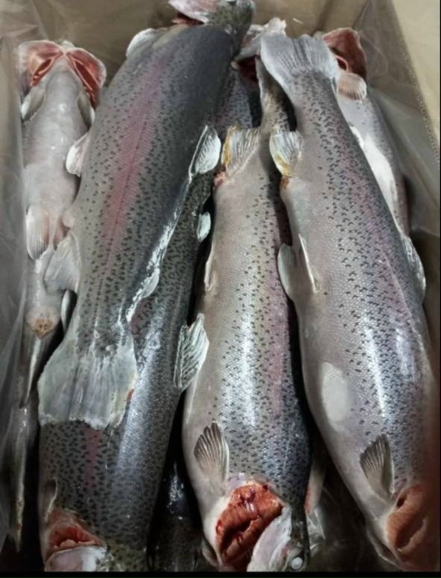 *💫Доброго времени суток уважаемые жители г. ЛАНГЕПАС! ...