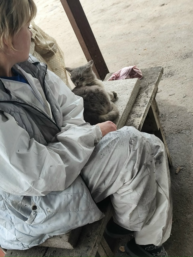 #мявстерская